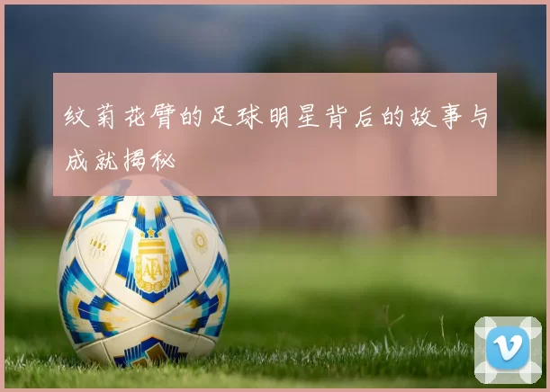纹菊花臂的足球明星背后的故事与成就揭秘