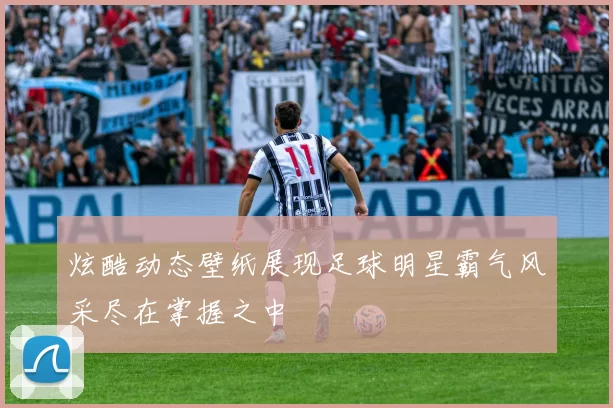 炫酷动态壁纸展现足球明星霸气风采尽在掌握之中