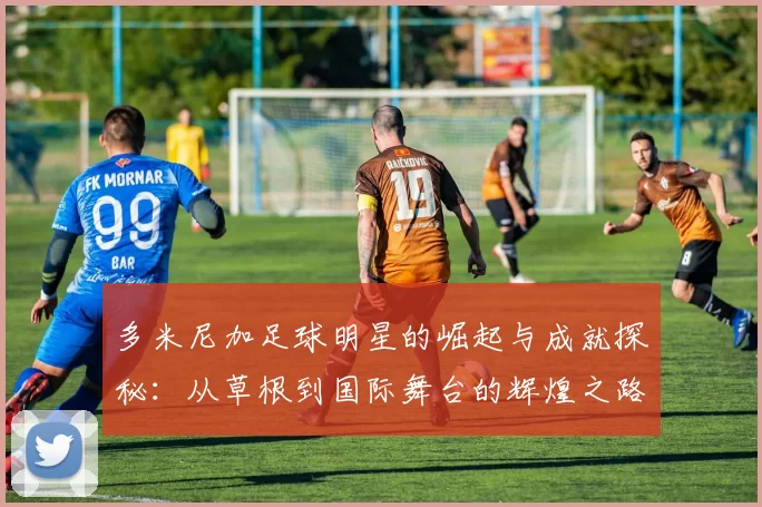 多米尼加足球明星的崛起与成就探秘：从草根到国际舞台的辉煌之路