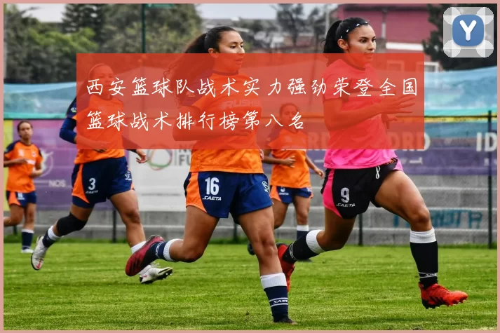 西安篮球队战术实力强劲荣登全国篮球战术排行榜第八名