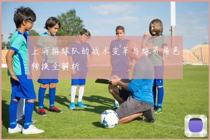 上海排球队的战术变革与球员角色转换全解析