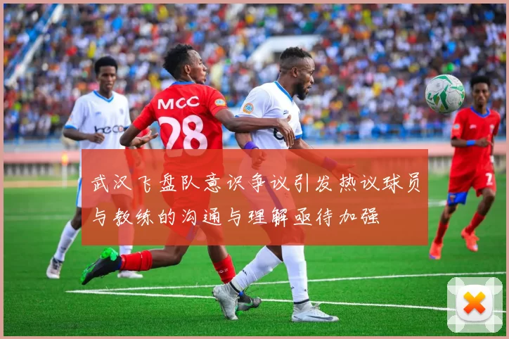 武汉飞盘队意识争议引发热议球员与教练的沟通与理解亟待加强