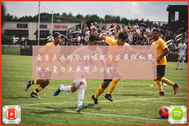 南京乒乓球队的崛起与发展探秘聚焦力量与未来潜力分析