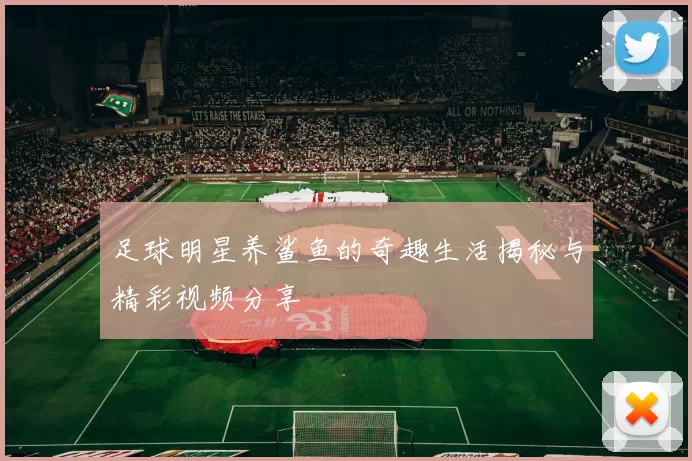 足球明星养鲨鱼的奇趣生活揭秘与精彩视频分享