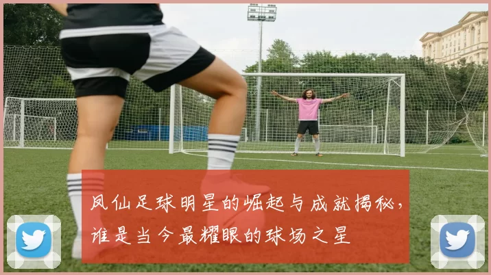 凤仙足球明星的崛起与成就揭秘，谁是当今最耀眼的球场之星