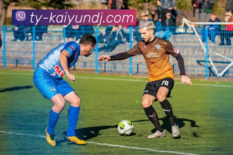 开云入口APP 体育赛事宣传图